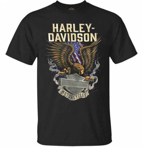 Harley Davidson Eagle T-Shirt
